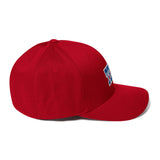 Texas Baseball Structured Twill Cap