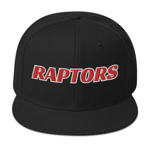 Raptors Basketball Snapback Hat