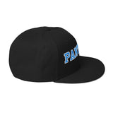 Panthers Football Snapback Hat